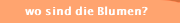 wo sind die Blumen?